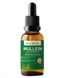 Mullein-Reduce inflammation and promote clearer breathing